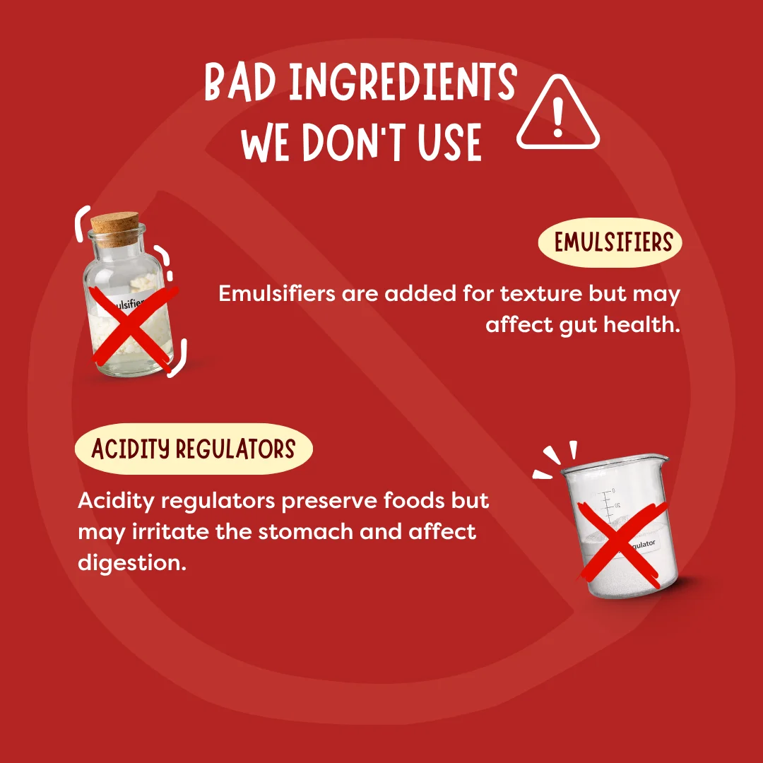 Healthy Tomato Ketchup - Image 10